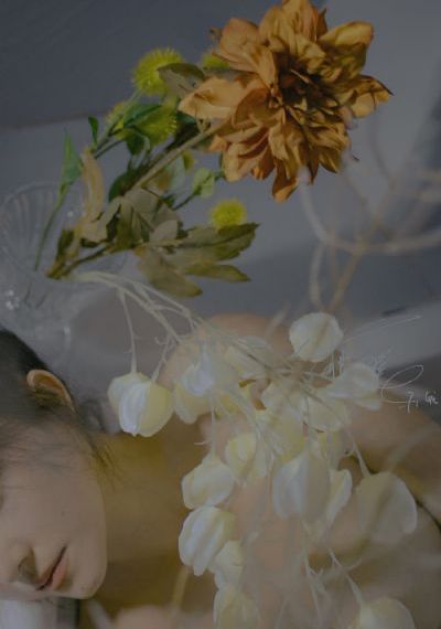 法国意大利性xxxhd_lol电影天堂全集在线观看