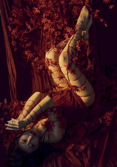 18精品爽国产冫_双语中字手机在线观看